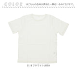 PAGE ONE ページワン 半袖 Tシャツ レディース 通販 半袖Tシャツ 半袖tシャツ tシャツ カットソー ブラウス プリント 着回し 重ね着 コットン 大人 グロリア GLORIA カジュアル 旅行