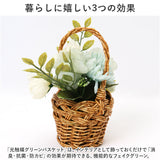 バスケット グリーンバスケット 通販 カゴ 籠 プランター 寄せ植え 小物収納 グリーン 植物 丸い ラウンド ワンハンドル ハンドル ハンドル付き PP素材 光触媒 ベーシック デザイン