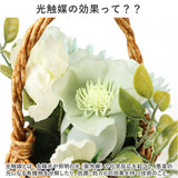 バスケット グリーンバスケット 通販 カゴ 籠 プランター 寄せ植え 小物収納 グリーン 植物 丸い ラウンド ワンハンドル ハンドル ハンドル付き PP素材 光触媒 ベーシック デザイン