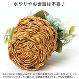 バスケット グリーンバスケット 通販 カゴ 籠 プランター 寄せ植え 小物収納 グリーン 植物 丸い ラウンド ワンハンドル ハンドル ハンドル付き PP素材 光触媒 ベーシック デザイン