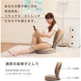 プロイデア 美姿勢座椅子リッチ 専用カバー 通販 美姿勢座椅子リッチ専用カバー 着脱式カバー 洗い替えカバー 椅子カバー チェアカバー リッチ専用カバー カバー リッチ 背筋がGUUUN