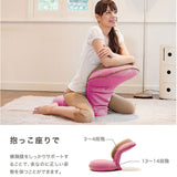 プロイデア 美姿勢座椅子リッチ 専用カバー 通販 美姿勢座椅子リッチ専用カバー 着脱式カバー 洗い替えカバー 椅子カバー チェアカバー リッチ専用カバー カバー リッチ 背筋がGUUUN