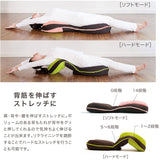 プロイデア 美姿勢座椅子リッチ 専用カバー 通販 美姿勢座椅子リッチ専用カバー 着脱式カバー 洗い替えカバー 椅子カバー チェアカバー リッチ専用カバー カバー リッチ 背筋がGUUUN