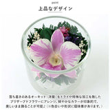 ドライフラワー ガラスケース 通販 オーキッド グラスS お供え 花 造花 仏花 仏壇用 アレンジメントフラワー お供え花アレンジメント 法要 49日 お彼岸 命日 お悔やみ 贈り物 喪中 見舞い