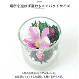 ドライフラワー ガラスケース 通販 オーキッド グラスS お供え 花 造花 仏花 仏壇用 アレンジメントフラワー お供え花アレンジメント 法要 49日 お彼岸 命日 お悔やみ 贈り物 喪中 見舞い