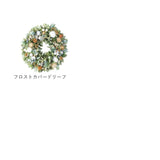クリスマスリース 玄関 外 通販 リース ドア ナチュラルリース 玄関リース 玄関飾り 壁飾り 秋 冬 オーナメント GREEN HOUSE グリーンハウス ギフトボックス 天然素材 木 クリスマス