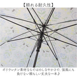 mikuni 傘 ビニール 通販 長傘 60cm ビニール傘 雨傘 ジャンプ傘 かさ カサ レディース 丈夫 グラスファイバー 大人 女子 60センチ おしゃれ 可愛い オシャレ かわいい 通勤 通学 三国