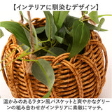 光触媒 フェイクグリーン 通販 観葉植物 人工観葉植物 ハンギング 吊り下げ ハンギングバスケット インテリアグリーン イミテーショングリーン 消臭 抗菌 防カビ 屋内 室内 おしゃれ 玄関