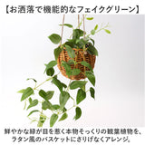 光触媒 フェイクグリーン 通販 観葉植物 人工観葉植物 ハンギング 吊り下げ ハンギングバスケット インテリアグリーン イミテーショングリーン 消臭 抗菌 防カビ 屋内 室内 おしゃれ 玄関