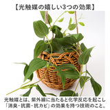 光触媒 フェイクグリーン 通販 観葉植物 人工観葉植物 ハンギング 吊り下げ ハンギングバスケット インテリアグリーン イミテーショングリーン 消臭 抗菌 防カビ 屋内 室内 おしゃれ 玄関