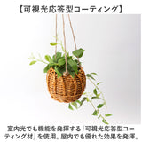 光触媒 フェイクグリーン 通販 観葉植物 人工観葉植物 ハンギング 吊り下げ ハンギングバスケット インテリアグリーン イミテーショングリーン 消臭 抗菌 防カビ 屋内 室内 おしゃれ 玄関