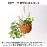 光触媒 フェイクグリーン 通販 観葉植物 人工観葉植物 ハンギング 吊り下げ ハンギングバスケット インテリアグリーン イミテーショングリーン 消臭 抗菌 防カビ 屋内 室内 おしゃれ 玄関