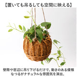 光触媒 フェイクグリーン 通販 観葉植物 人工観葉植物 ハンギング 吊り下げ ハンギングバスケット インテリアグリーン イミテーショングリーン 消臭 抗菌 防カビ 屋内 室内 おしゃれ 玄関