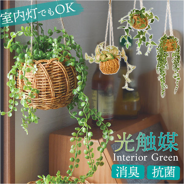 hangingbasket_grande.jpg?v=