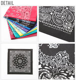 バンダナ HAVAHANK ハバハンク HAV-A-HANK ペイズリー ファッション アウトドア 定番 米国 レディースハンカチ TRADITIONAL-PAISLEY HAVAHANKPAISLEY HAV-TR-USE