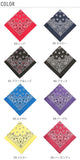 バンダナ HAVAHANK ハバハンク HAV-A-HANK ペイズリー ファッション アウトドア 定番 米国 レディースハンカチ TRADITIONAL-PAISLEY HAVAHANKPAISLEY HAV-TR-USE