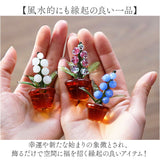 鈴蘭 ガラス細工 幸せ運ぶ 通販 スズラン オブジェ ガラス ミニチュア 装飾品 飾り 置物 お花 植物 かわいい インテリア 贈り物 ギフト リビング 玄関 おしゃれ 母の日 北欧風 雑貨 卓上