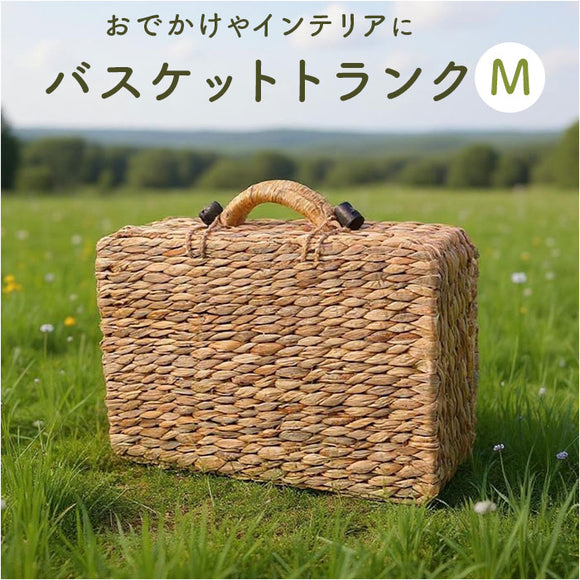 バスケット ピクニック 通販 Ｍサイズ カゴバスケット ウォーターヒヤシンスバスケット ピクニックバスケット カゴバッグ トランク ウェルカムスペース かご 籠 撮影小物 フォトブース