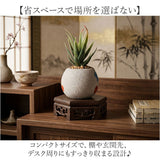 花瓶 敷き 木製 通販 花 台 スタンド 六角形 木製置物台 無垢材スタンド フラワースタンド 盆栽飾り台 花台 ディスプレイ台 観葉植物置き台 床の間飾り アンティーク風置台 骨董品台