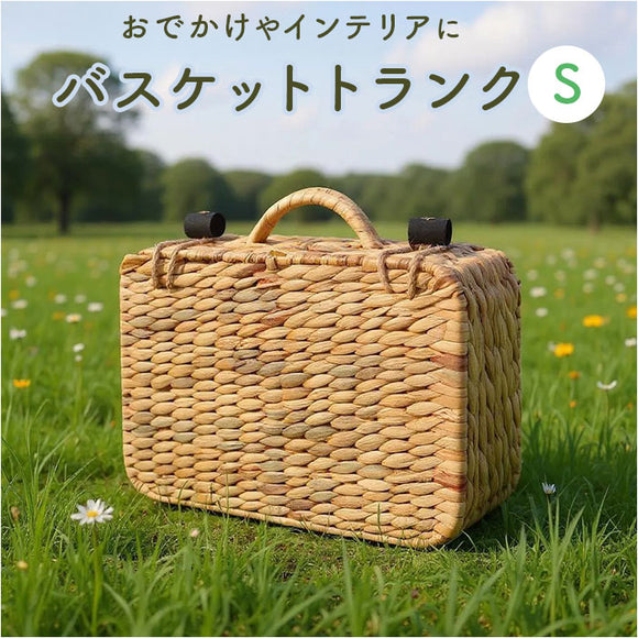 バスケット ピクニック 通販 Ｓサイズ ピクニックバスケット カゴバスケット カゴバッグ ウォーターヒヤシンスバスケット トランク かご 籠 ウェルカムスペース フォトブース 撮影小物