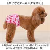 犬 マナーパンツ 女の子 通販 サニタリーパンツ 生理パンツ イヌ いぬ ドックウェア オムツカバー パンツタイプ おむつカバー ペットウェア 犬服 ペット服 お散歩 術後 お出かけ かわいい