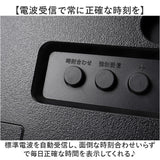 電波掛時計 温度 湿度 通販 掛け時計 壁掛け時計 アナログ時計 ライト 壁掛け カレンダー 夜間秒針停止 日付 温度湿度計 電波掛け時計 シンプル 寝室 夜間 光る hwc016 Formia フォルミア