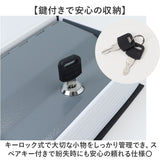 金庫 小型 通販 辞書型金庫 辞書型 小物入れ 家庭用 防犯グッズ 防犯 収納ボックス 収納 小物 鍵付き 鍵 かぎ 本型 辞書 辞典 フェイク 雑貨 インテリア おしゃれ
