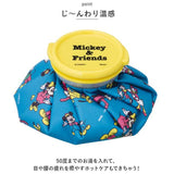 アイシング 氷嚢 通販 氷のう キャラクター グッズ アイスバッグ ひょうのう 氷枕 水まくら 水枕 スケーター ICB1 SKATER ひんやりグッズ 子供 子ども 熱中症対策 アウトドア 外遊び