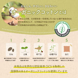 クッション フリーシート 通販 ソファ 車 日本製 オーガニックコットン 綿100% ボーダー 洗える 約43×130cm