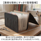 じゃばら式ファイル 通販 ジャバラ式 ファイル ジャバラファイル ドキュメントファイル 領収書ファイル 書類ケース 書類 整理 はがき 収納 封筒 封書 手紙 レター 領収書 レシート整理