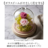 プリザーブドフラワー ガラスドーム 通販 プリザーブド フラワー フラワーアレンジメント ガラス ドーム バラ 薔薇 ローズ 花 ジュエルガラスドーム 枯れない花 ギフト 贈り物 母の日