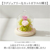 プリザーブドフラワー ガラスドーム 通販 プリザーブド フラワー フラワーアレンジメント ガラス ドーム バラ 薔薇 ローズ 花 ジュエルガラスドーム 枯れない花 ギフト 贈り物 母の日