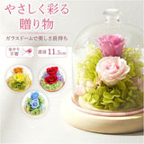 プリザーブドフラワー ガラスドーム 通販 プリザーブド フラワー フラワーアレンジメント ガラス ドーム バラ 薔薇 ローズ 花 ジュエルガラスドーム 枯れない花 ギフト 贈り物 母の日