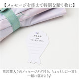 長傘 晴雨兼用 通販 晴雨兼用傘 晴雨兼用長傘 UVカット ジャンプ式 雨傘 晴れ雨兼用傘 55cm JK-168 日傘 ひがさ 遮光 かさ カサ 婦人傘 紫外線対策 uvカット 暑さ対策 贈り物 母の日