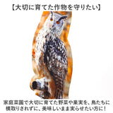 鳥よけグッズ 通販 虫除け 2点セット フクロウ型鳥よけ 首振りフクロウ 鳥対策グッズ カラス対策 カラス撃退グッズ ハト 鳩よけ 庭 畑 防鳥 害鳥 駆除 寄せ付けない 鳥よけ