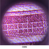 顕微鏡 ルーペ LEDライト付き 虫眼鏡 通販 手持ち顕微鏡 ハンディ顕微鏡 虫メガネ 拡大鏡 ムシメガネ むしめがね 拡大レンズ ledライト付き 軽量 軽い コンパクト LEDライト