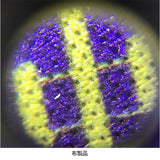 顕微鏡 ルーペ LEDライト付き 虫眼鏡 通販 手持ち顕微鏡 ハンディ顕微鏡 虫メガネ 拡大鏡 ムシメガネ むしめがね 拡大レンズ ledライト付き 軽量 軽い コンパクト LEDライト