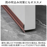 ドア 隙間テープ 通販 2本セット 室内ドア ドア下部 すき間テープ すきまテープ すきま風 隙間風 PVC素材 防虫 防風 防塵 花粉防止 省エネ 冷暖房効率 断熱断冷 カット自由 遮音 騒音