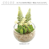 CT触媒 フェイクグリーン 通販 キシマ Lサイズ アーティフィシャルグリーン 観葉植物 フェイク グリーン 人工観葉植物 卓上 多肉植物 寄せ植え ガラス 消臭 小さめ ミニ 小型 かわいい