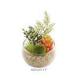 CT触媒 フェイクグリーン 通販 キシマ Lサイズ アーティフィシャルグリーン 観葉植物 フェイク グリーン 人工観葉植物 卓上 多肉植物 寄せ植え ガラス 消臭 小さめ ミニ 小型 かわいい