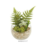 CT触媒 フェイクグリーン 通販 キシマ Lサイズ アーティフィシャルグリーン 観葉植物 フェイク グリーン 人工観葉植物 卓上 多肉植物 寄せ植え ガラス 消臭 小さめ ミニ 小型 かわいい