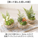 CT触媒 フェイクグリーン 通販 キシマ Lサイズ アーティフィシャルグリーン 観葉植物 フェイク グリーン 人工観葉植物 卓上 多肉植物 寄せ植え ガラス 消臭 小さめ ミニ 小型 かわいい