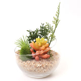 CT触媒 フェイクグリーン 通販 キシマ Lサイズ アーティフィシャルグリーン 観葉植物 フェイク グリーン 人工観葉植物 卓上 多肉植物 寄せ植え ガラス 消臭 小さめ ミニ 小型 かわいい