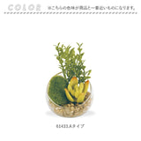 CT触媒 フェイクグリーン 通販 キシマ Sサイズ アーティフィシャルグリーン 観葉植物 フェイク グリーン 人工観葉植物 卓上 多肉植物 寄せ植え ガラス 消臭 小さめ ミニ 小型 かわいい