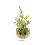 CT触媒 フェイクグリーン 通販 キシマ Sサイズ アーティフィシャルグリーン 観葉植物 フェイク グリーン 人工観葉植物 卓上 多肉植物 寄せ植え ガラス 消臭 小さめ ミニ 小型 かわいい