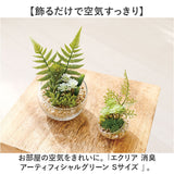 CT触媒 フェイクグリーン 通販 キシマ Sサイズ アーティフィシャルグリーン 観葉植物 フェイク グリーン 人工観葉植物 卓上 多肉植物 寄せ植え ガラス 消臭 小さめ ミニ 小型 かわいい