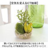 CT触媒 フェイクグリーン 通販 キシマ Sサイズ アーティフィシャルグリーン 観葉植物 フェイク グリーン 人工観葉植物 卓上 多肉植物 寄せ植え ガラス 消臭 小さめ ミニ 小型 かわいい