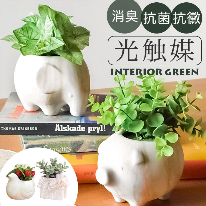 植木鉢andソーサー✳︎POT観葉植物✳︎園芸プランター 楽天市場】植木鉢 大型 おしゃれ 人気 プランター 受け皿付き