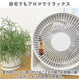 カー ディフューザー 通販 カーディフューザー カーデコレーション フレグランス アロマディフューザー 入れ物 入物 車用芳香剤 Thaleia Veil サリアベル 車内 車 車用 車用品 car 車載