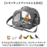 鳥 キャリー バッグ 通販 キャリーバッグ キャリーバック 鳥用キャリーバッグ 鳥キャリーケージ 止まり木 止まり木付き トート ショルダー 鳥用 バード バード用 透明 クリア 通気性